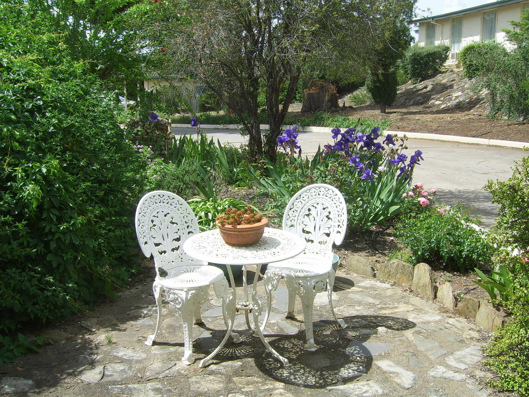 Garden Motor Inn Гандагай Экстерьер фото